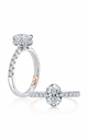 Oval Cut Shared Prong Diamond Engagement Ring Setting with Hidden Halo